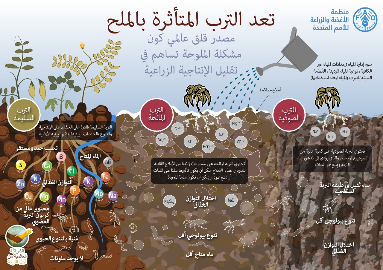 اليوم العالمي للتربة جمعية المنارات الإيكولوجية من اجل التنمية والمناخ