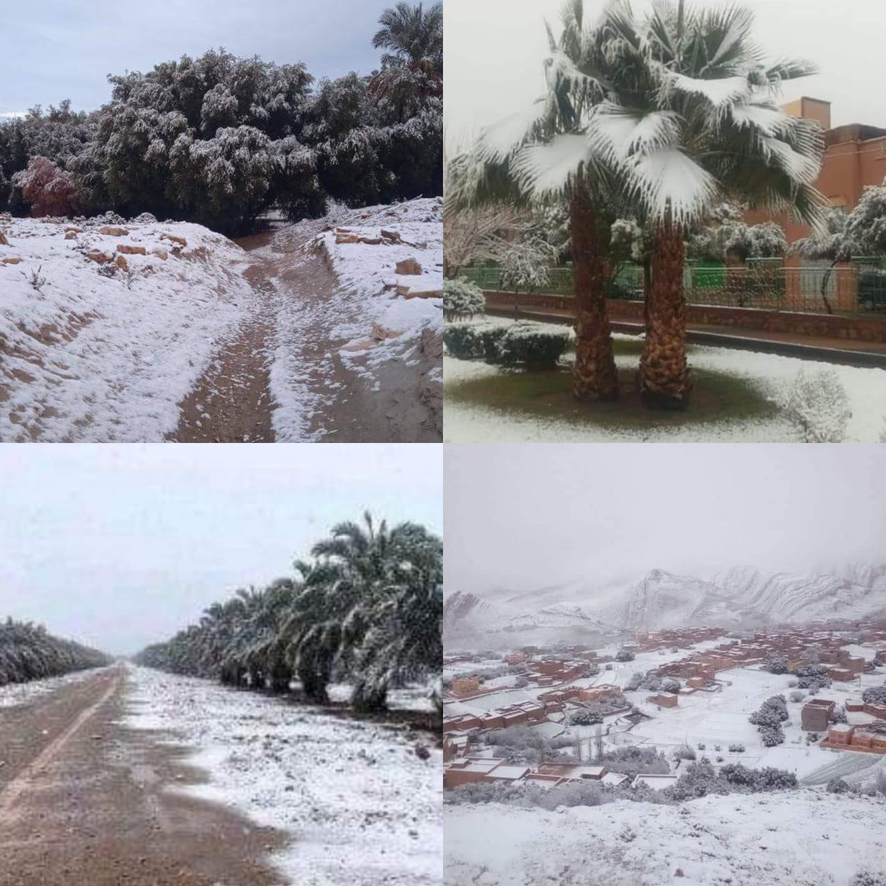 ظاهرة مناخية..تسجيل تساقطات ثلجية بمدن الجنوب الشرقي