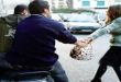 طنجة: عصابة إجرامية تستغل وقت مباراة المنتخب المغربي لتنفيذ عمليات سرقة باستخدام أسلحة بيضاء