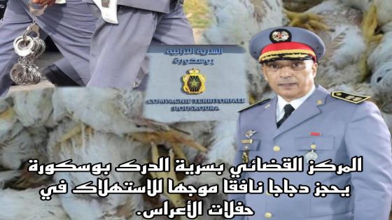المركز القضائي بسرية الدرك بوسكورة يحجز دجاجا نافقا موجها للاستهلاك في حفلات الأعراس