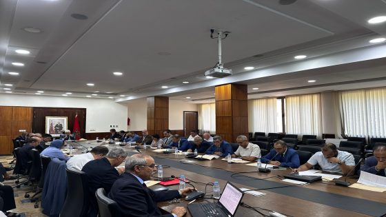 اللجنة الإقليمية للتنمية البشرية بمكناس تصادق على 31 مشروعا جديدا لتعزيز ريادة الأعمال لدى الشباب