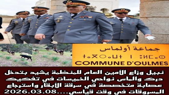 منظمة حقوقية مستقلة تشيد بتدخل درك والماس نواحي الخميسات في تفكيك عصابة متخصصة في سرقة الأبقار واسترجاع المسروقات في وقت قياسي