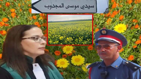 منظمة حقوقية تشيد……منطقة المجدبة تستقطب آلاف الزوار…ودرك سيدي موسى بن علي ينجح في تأمينهم دون أي انفلات أمني تحت إشراف النيابة العامة