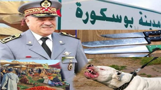 منظمة حقوقية تشيد….المركز القضائي للدرك ببوسكورة يفكك عصابة إجرامية خطيرة برفقتهم فتاة من ذوي السوابق القضائية متخصصة في ابتزاز الباعة وفرض الإتاوات