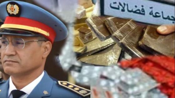 بنسليمان… درك جمعة فضالات يسقط مروجا للمخدرات و”القرقوبي” ومسكر “ماء الحياة” قرب غابة دوار العمور ومنظمة حقوقية تشيد بهذه العملية